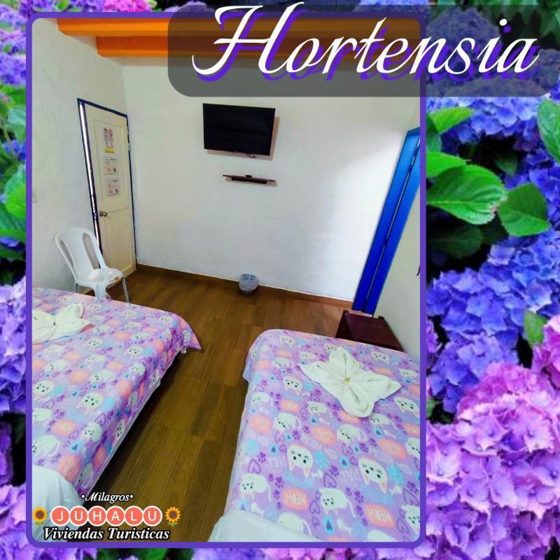 Hotel ᒍᑌᕼᗩᒪᑌ à Jericoc  Chambre photo